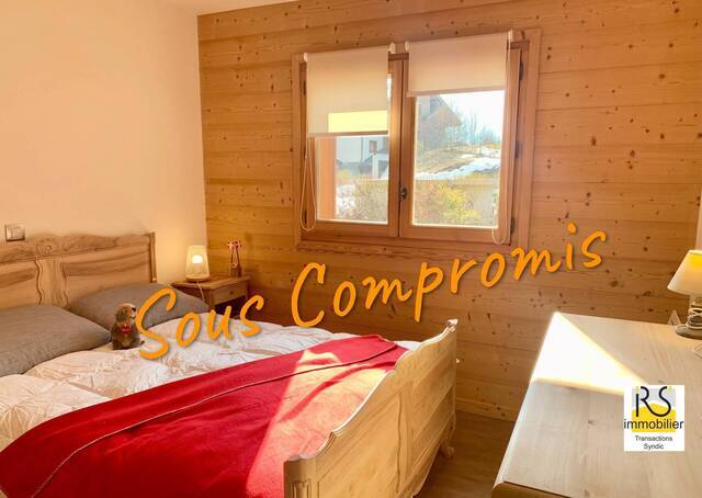 Vente Dappartements Et Chalets Les Carroz