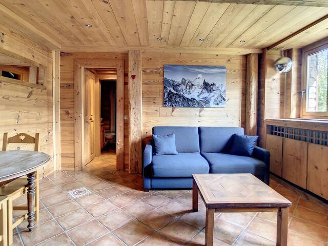 Holiday rentals Apartment t2 2 sleeps 34 m² Megève 74120 Centre ville