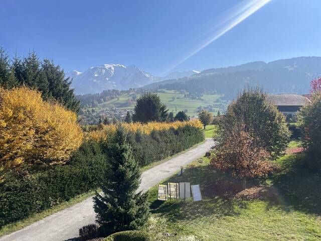 Vente Appartement 3 pièces 44.12 m² Combloux 74920