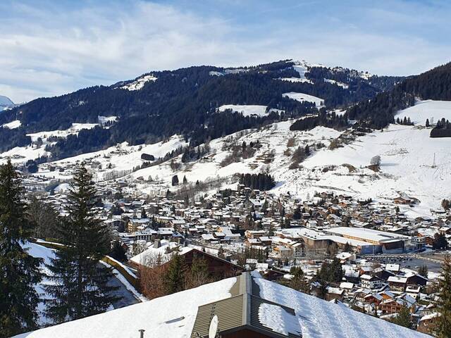 Sale Apartment 2 rooms 32.57 m² Megève 74120