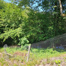 Vente Terrain Saint-Jean-d'Avelanne 38480