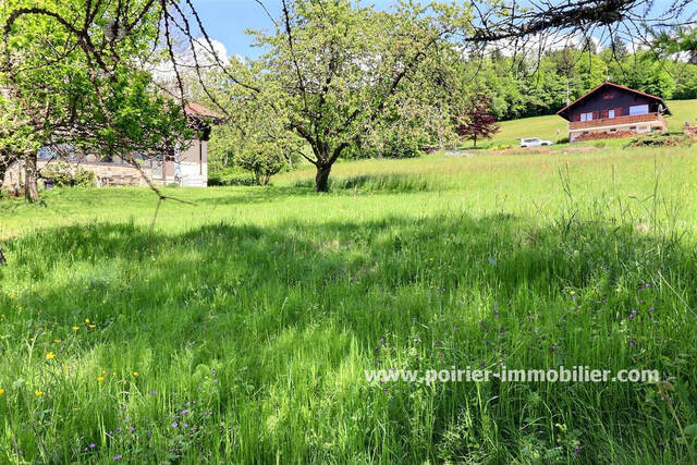 Vente Terrain 741 m² Saxel (74420)