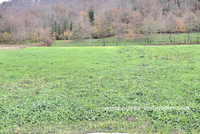 Vente Terrain 801 m² Cervens (74550)
