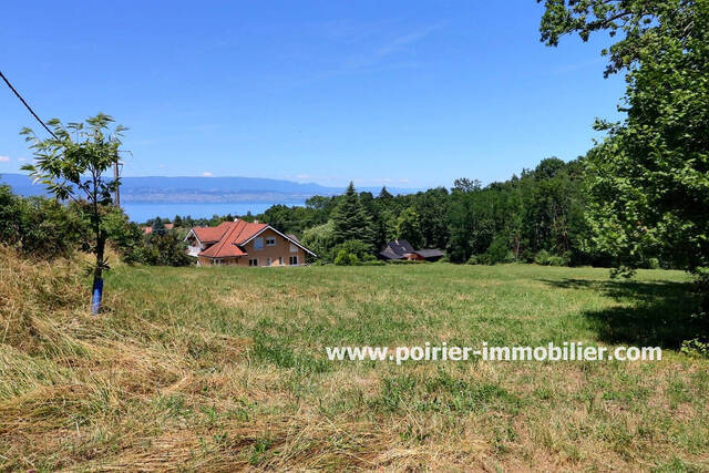 Vente Maison chalet 4 pièces 68.17 m² Sciez (74140) Choisy