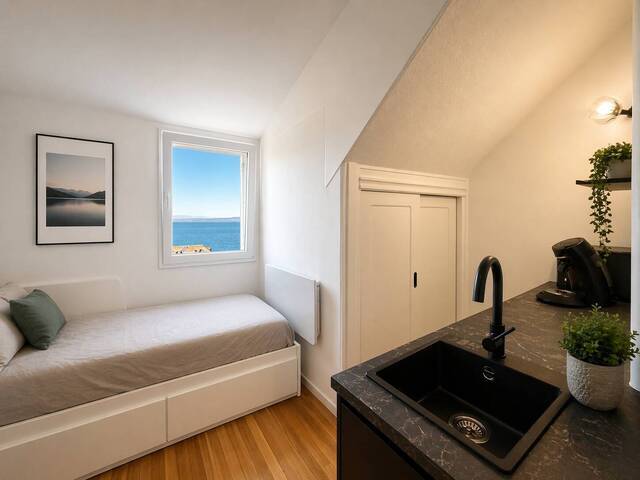 Louer Appartement studio 1 pièce 14 m² Évian-les-Bains (74500)