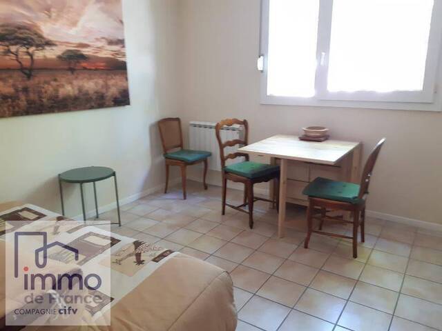 Location Appartement 1 pièce 21 m² Villeurbanne 69100