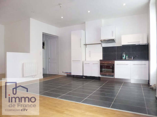 Location Appartement 2 pièces 61.37 m² Lyon 7e Arrondissement 69007