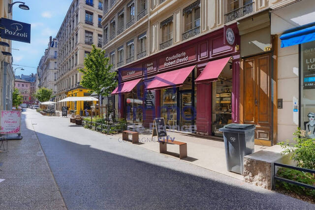 Vente Appartement 1 pièce 19.83 m² LYON 69002