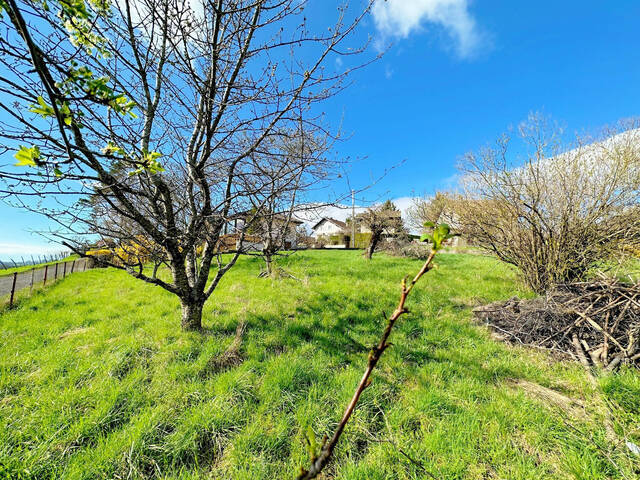 Vente Terrain 540 m² Viuz-en-Sallaz 74250 Pellet