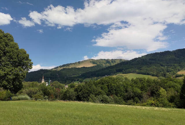 Sale Land terrain à batir Habère-Lullin 74420