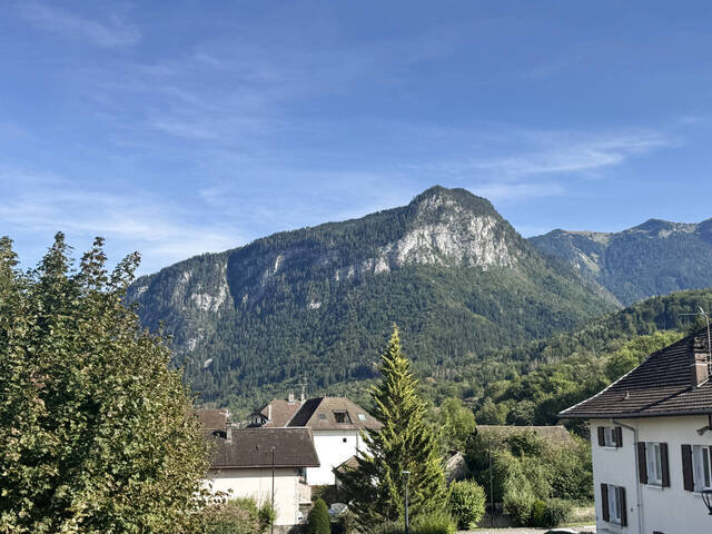 Vente Maison 8 pièces 240 m² Marnaz 74460