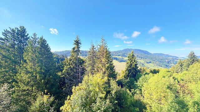 Sale Apartment studio 1 room 26 m² Bellevaux 74470