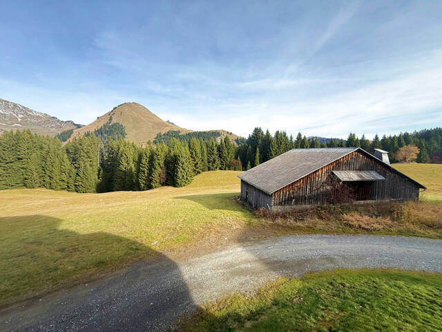 Vente Appartement studio 1 pièce 17 m² Taninges 74440