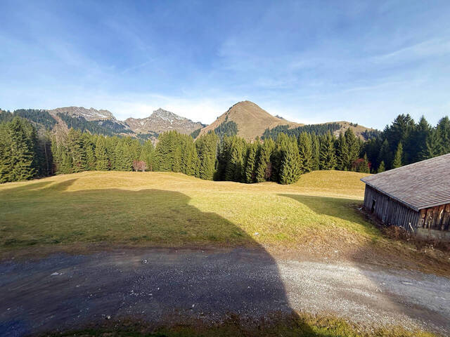 Vente Appartement studio 1 pièce 17 m² Taninges 74440