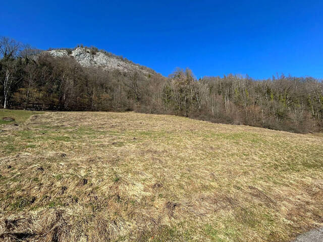 Vente Terrain 3206 m² Onnion 74490