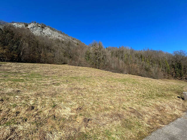 Vente Terrain 3206 m² Onnion 74490