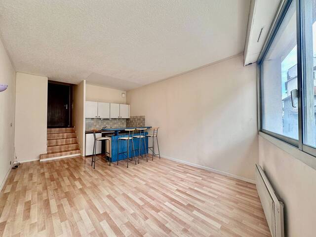 Location Appartement t1 25.5 m² Grenoble 38000 ILE VERTE