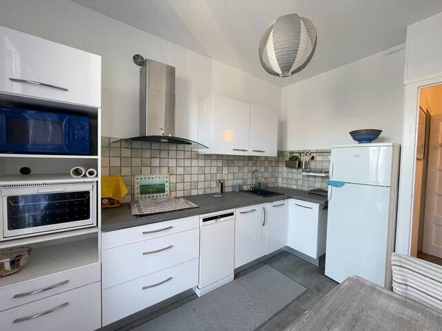 Location Appartement t1 bis 37.15 m² Grenoble 38000
