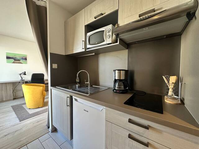 Location Appartement 1 piece 24.08 m² Grenoble 38000