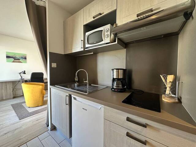 Location Appartement meublé 1 pièce 24 m² Grenoble 38000