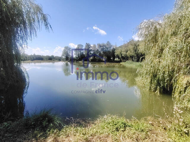 Vente Terrain de loisirs 7701 m² Meyrieu-les-Étangs 38440