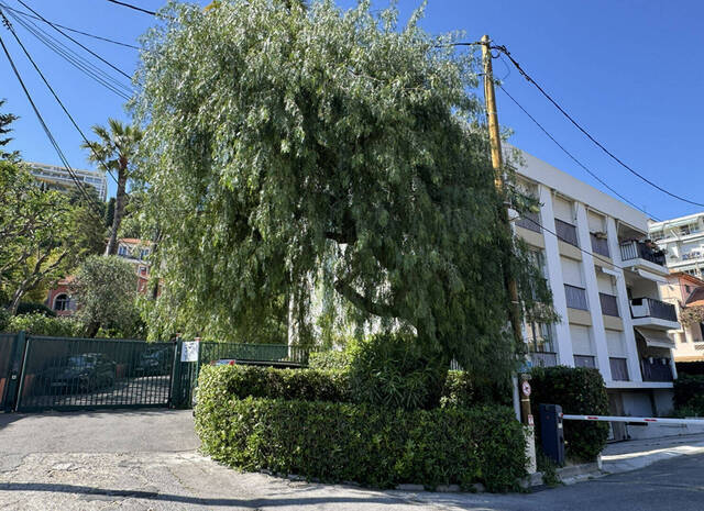 Vente Appartement 3 pièces 76 m² Nice (06000)