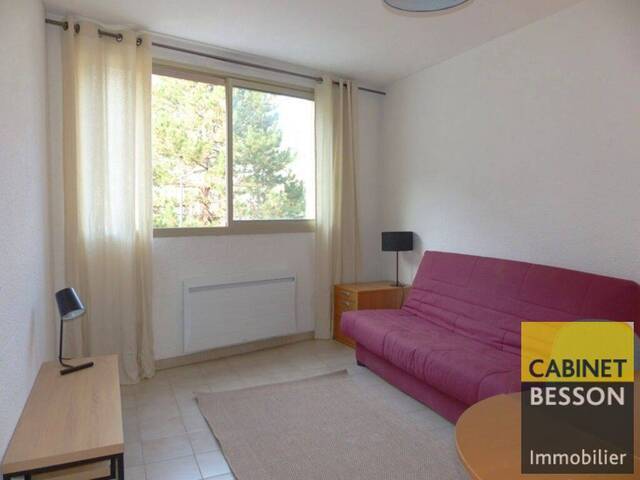 louer Appartement studio meublé 1 pièce Grenoble 38000 Ile verte
