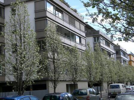 Location logement étudiant appartement t3 86 m² à Bordeaux (33000) Chartrons-Grand-Parc 2