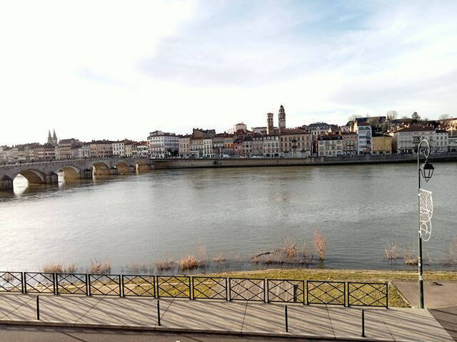 Louer Appartement 2 pièces 45.85 m² Saint-Laurent-sur-Saône (01750) BORD DE SAONE