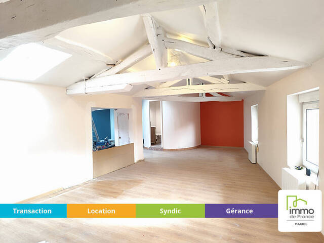 Louer Appartement 2 pièces 66.55 m² Mâcon (71000)