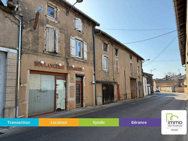 Vente Immeuble Sennecé-lès-Mâcon (71000)