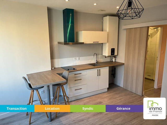 Louer Appartement 1 pièce 25.46 m² Mâcon (71000) CENTRE VILLE