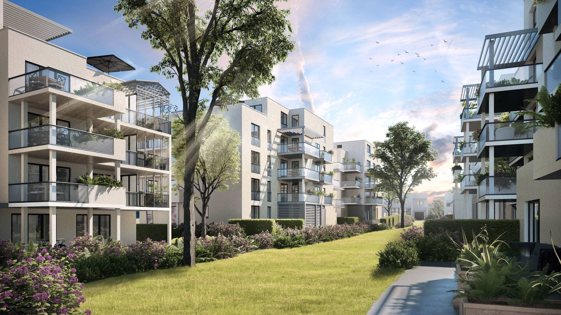 Buy Appartement studio 1 room 30 m² FerneyVoltaire 01210