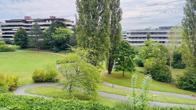 Buy Apartment 3 rooms Ferney-Voltaire 01210