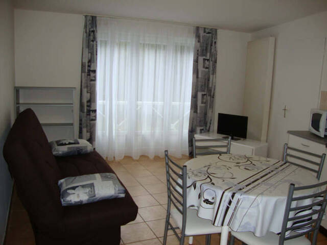Location appartement 1 pièce 21.35 m² à Oyonnax (01100)