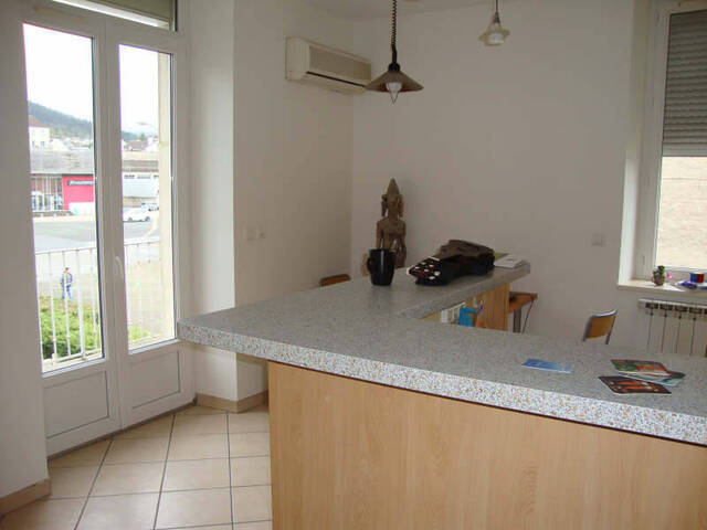 Location appartement 1 pièce 28.22 m² à Oyonnax (01100) CENTRE VILLE