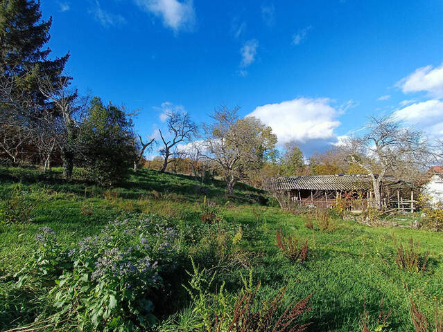 Vente terrain à Valleiry (74520)