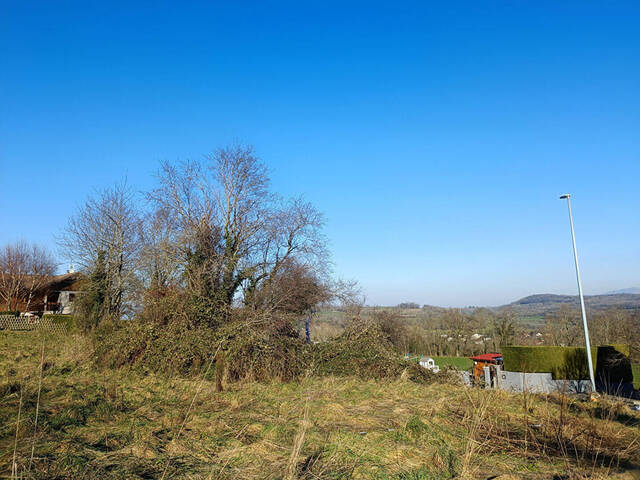 Vente terrain à Savigny (74520)