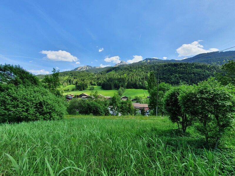 Sale Building plot Abondance 74360 La Balme