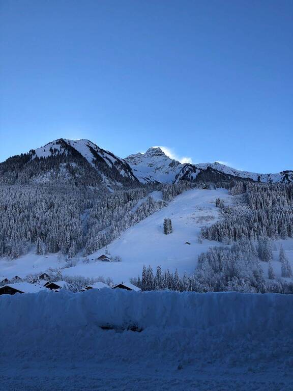 Vente Chalet 7 pièces LA CHAPELLE-D'ABONDANCE 74360