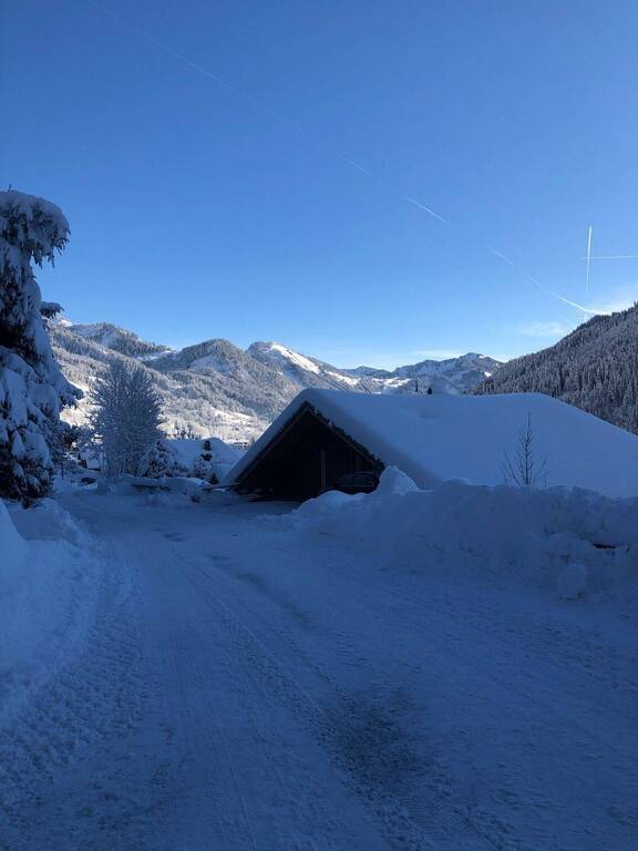 Vente Chalet 7 pièces LA CHAPELLE-D'ABONDANCE 74360