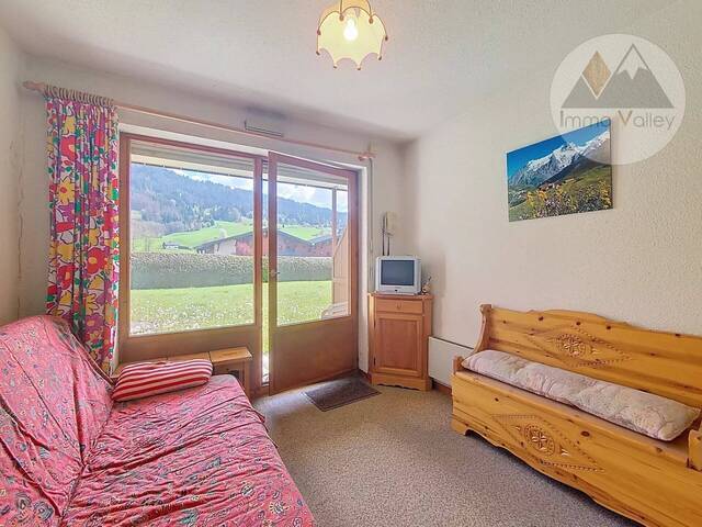 Vente Appartement 1 pièce 20.7 m² Praz-sur-Arly 74120