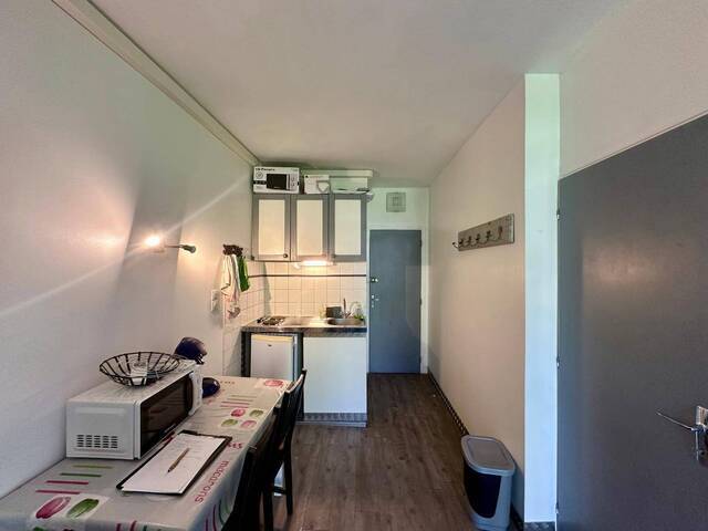 Location appartement 1 pièce 15.3 m² à Le Bourget-du-Lac (73370) 4