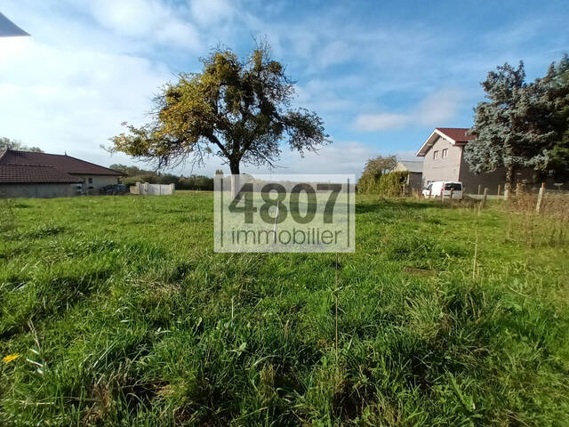 Vente Terrain Saint-Cergues (74140)