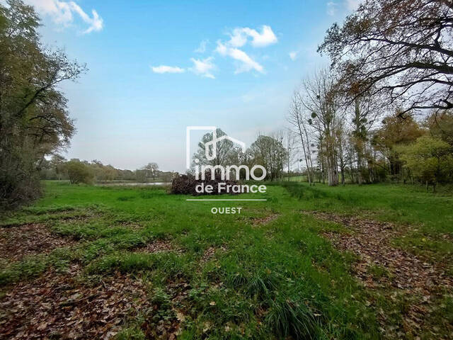 Vente terrain etang à Évron (53600)