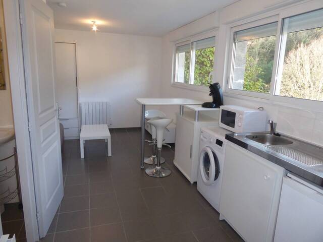 Location Appartement 1 pièce 19.6 m² Vals-les-Bains (07600)