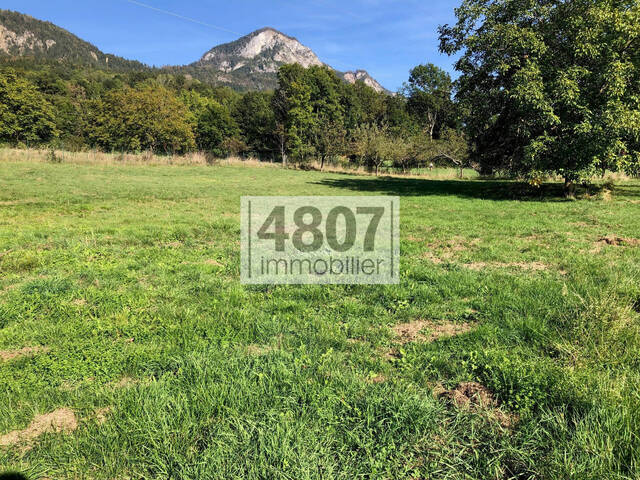 Vente terrain 7000 m² à Marignier (74970)