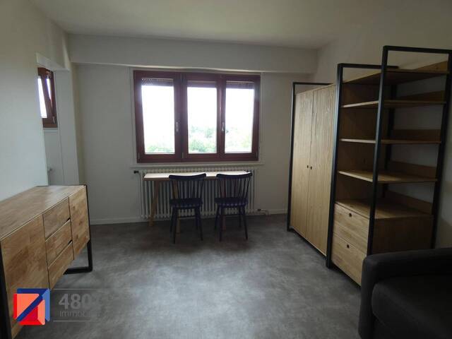 Location appartement rénové 1 pièce 27.94 m² à Gaillard (74240) 4