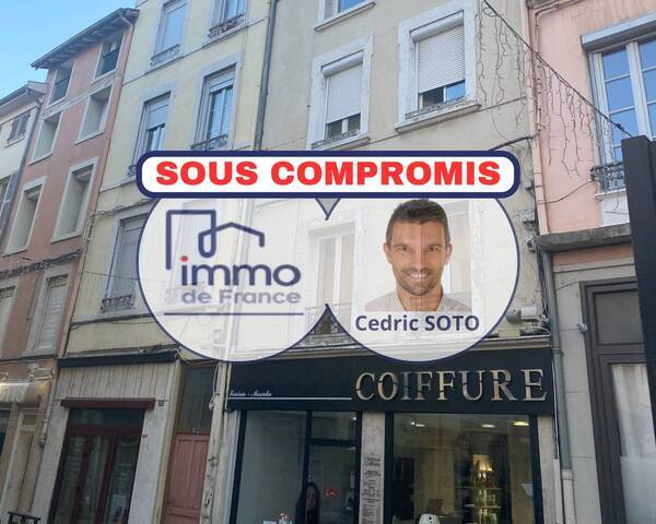 Vente appartement 2 pièces 52 m² à Vienne (38200)