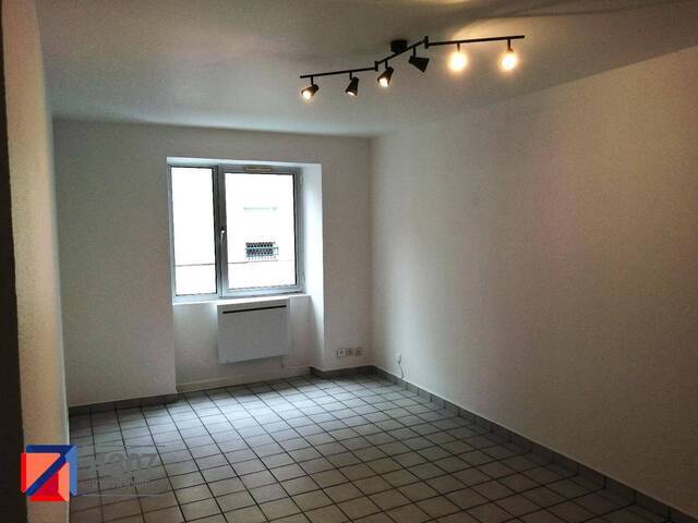 Location appartement rénové 2 pièces 40 m² à Cluses (74300) 5